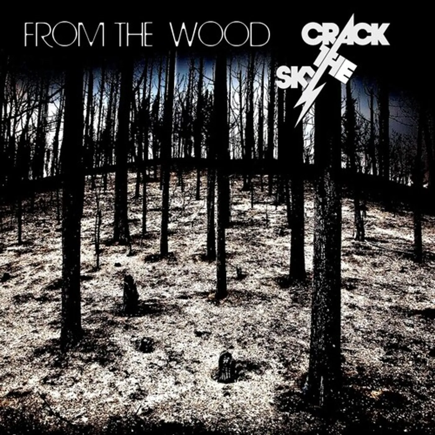Crack The Sky FROM THE WOOD CD