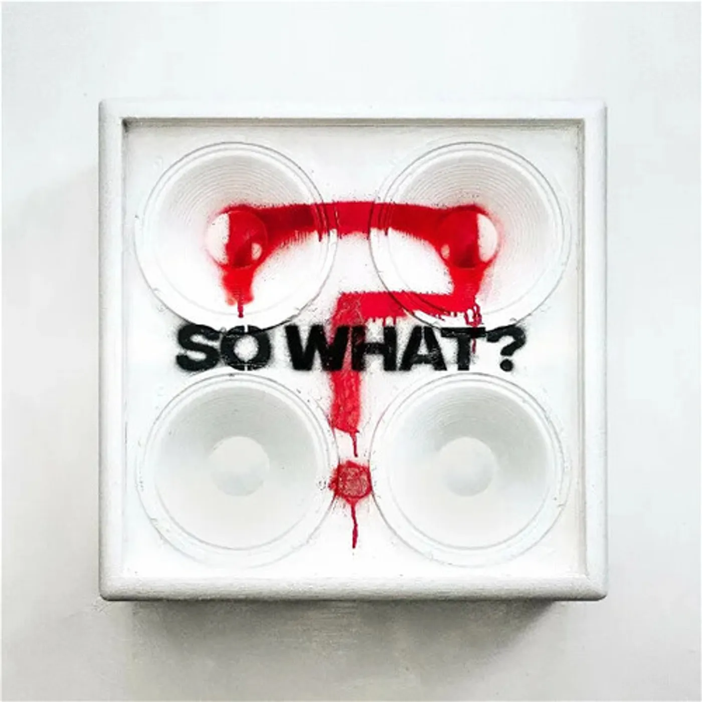 While She Sleeps So What Vinyl Record
