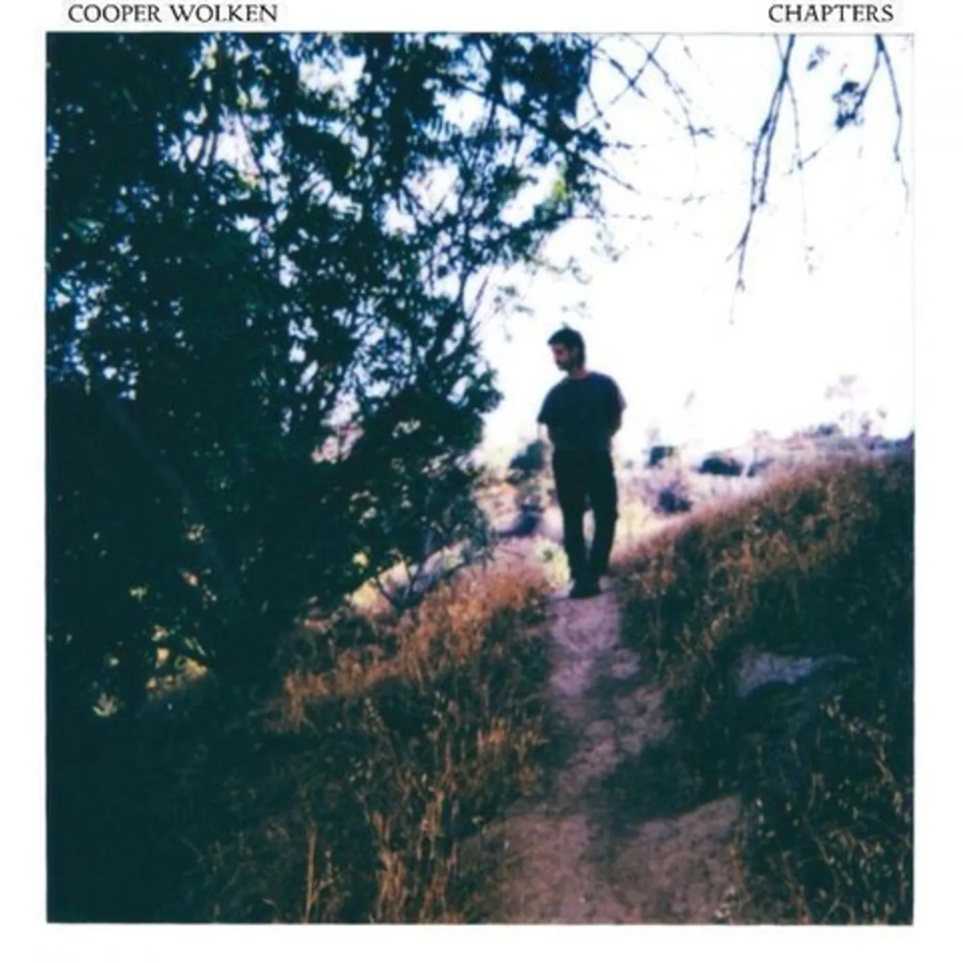Cooper Wolken CHAPTERS Vinyl Record