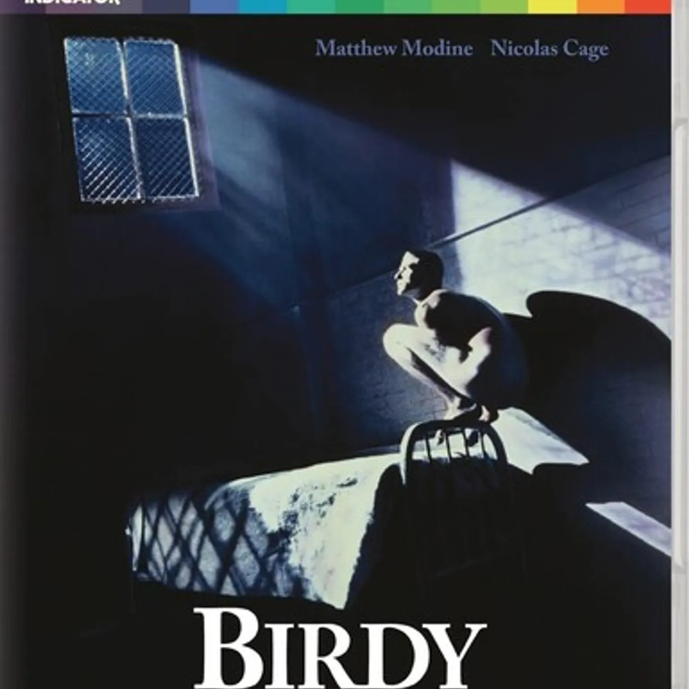 Birdy Blu-ray