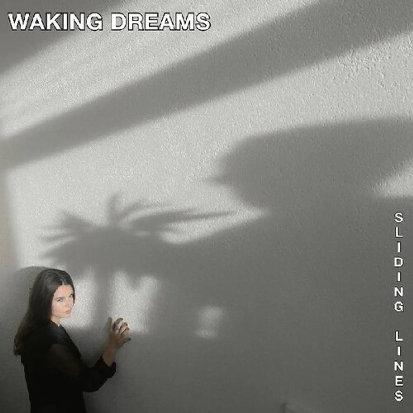 Waking Dreams SLIDING LINES CD