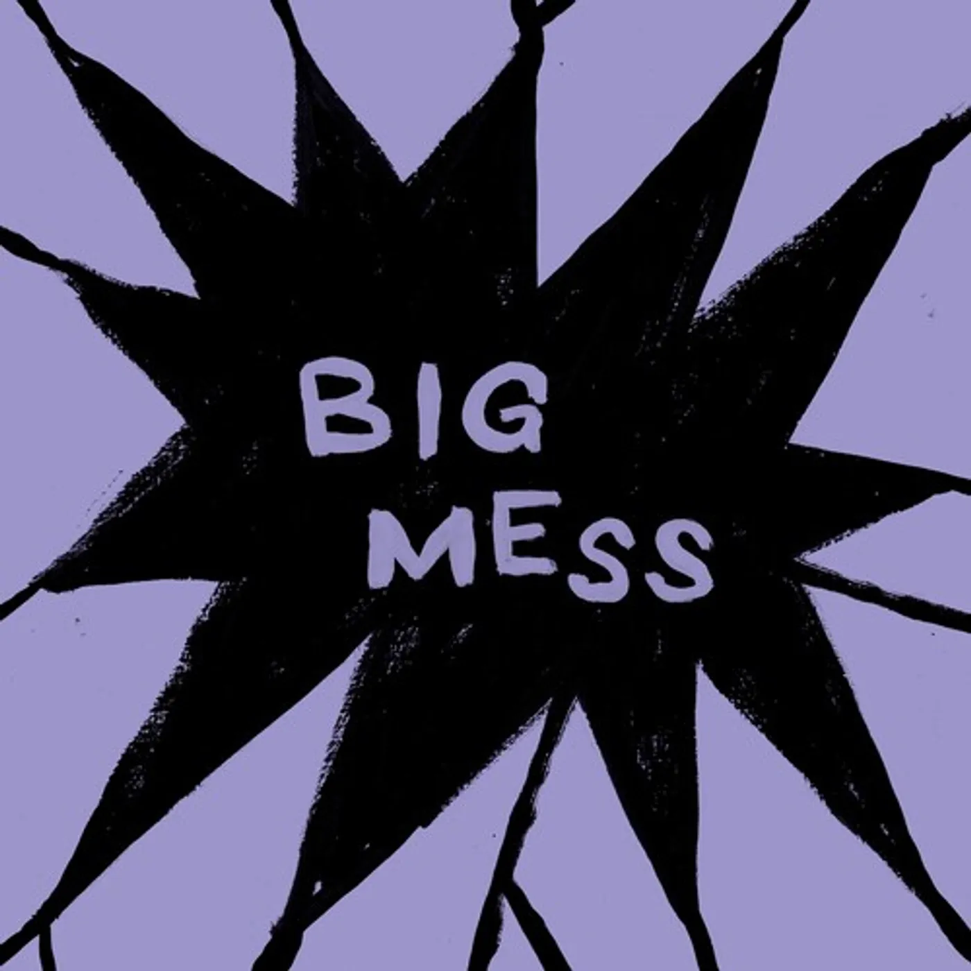 Public Body BIG MESS Vinyl Record
