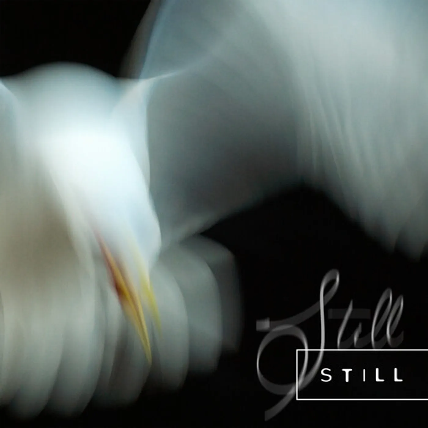 Aria Rostami / Daniel Blomquist STILL CD