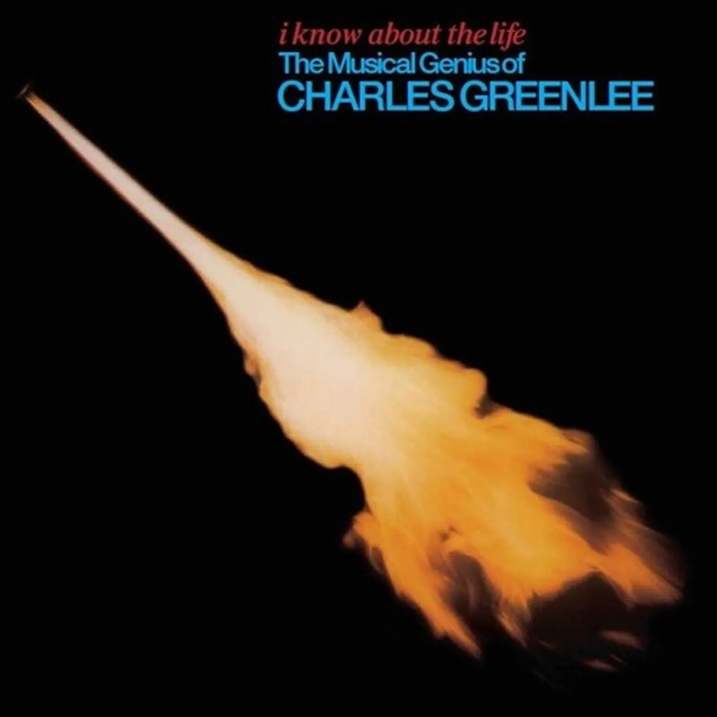 Charles Greenlee I KNOW ABOUT THE LIFE Vinyl Record