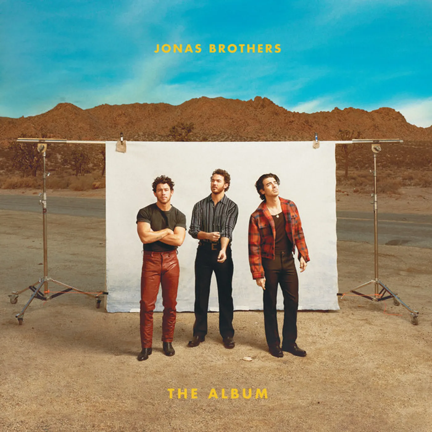 Jonas Brothers Album Vinyl Record