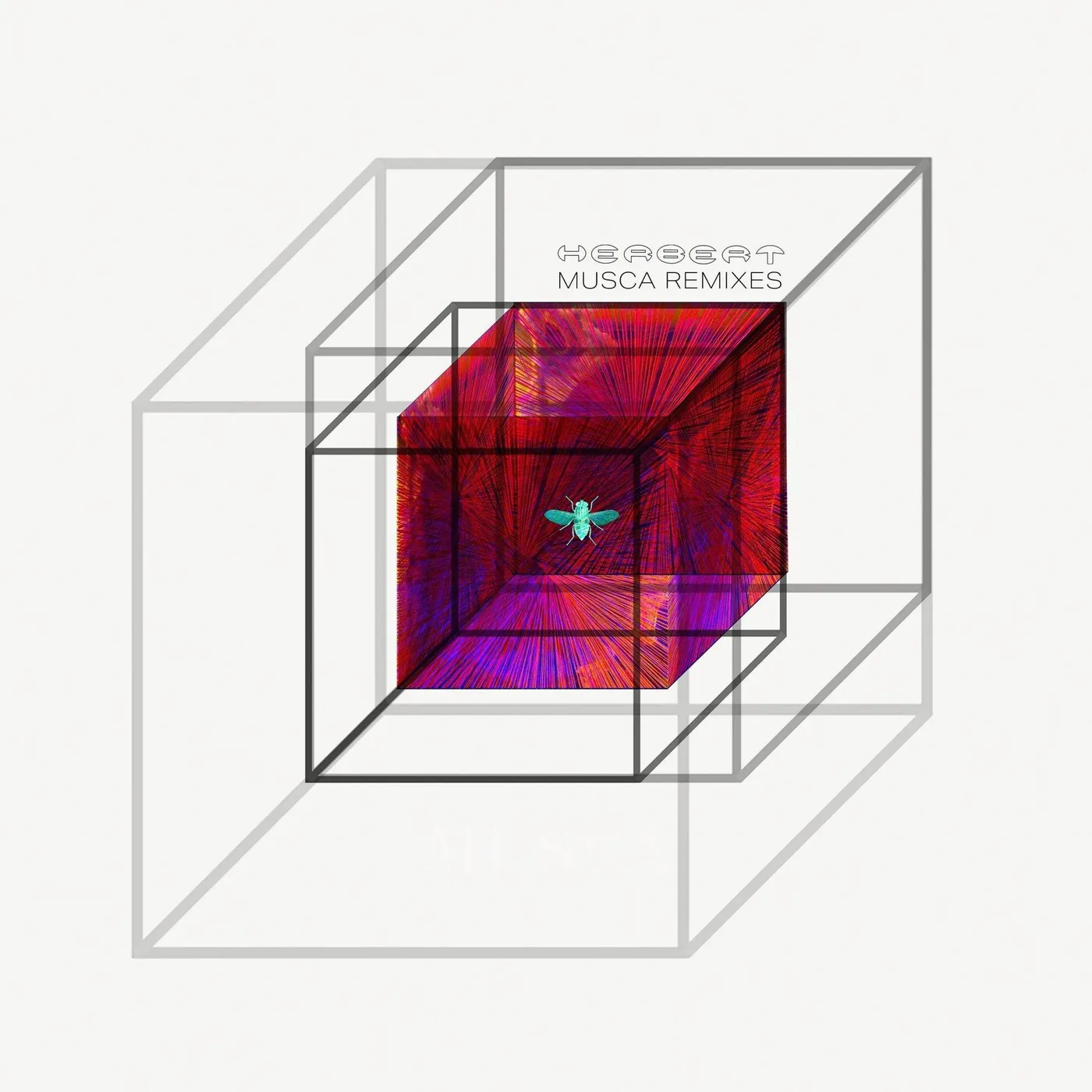 Herbert MUSCA REMIXES Vinyl Record
