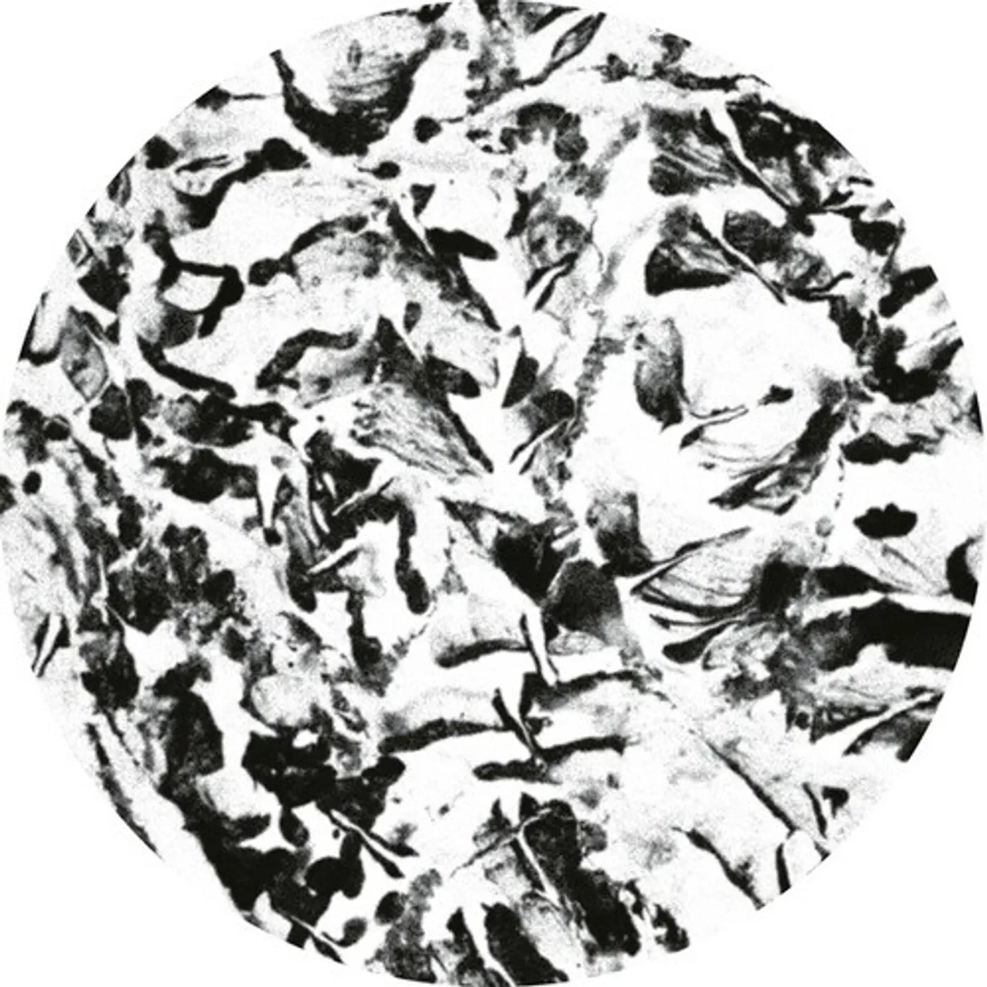 Mathimidori Anata EP Vinyl Record