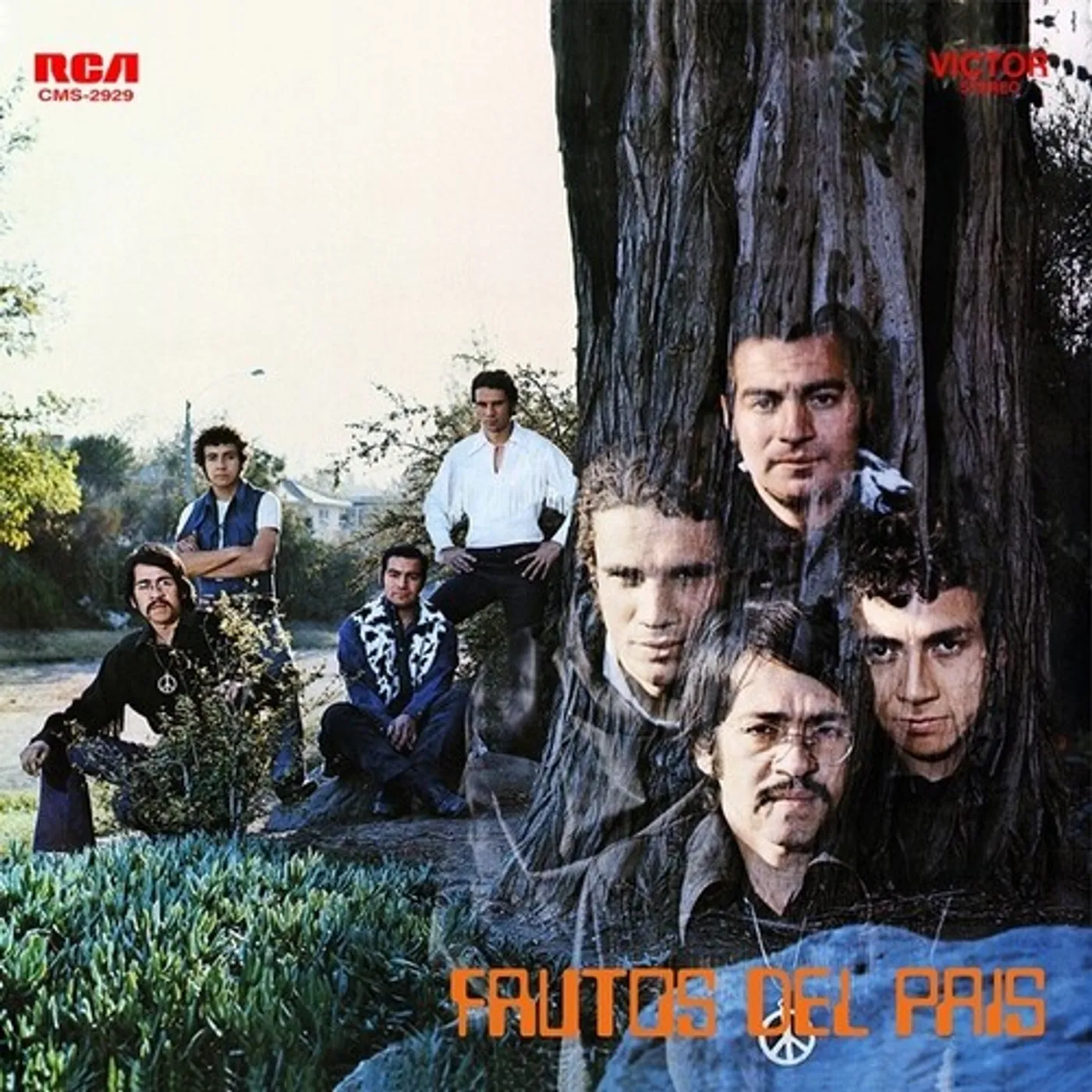Frutos Del País Vinyl Record