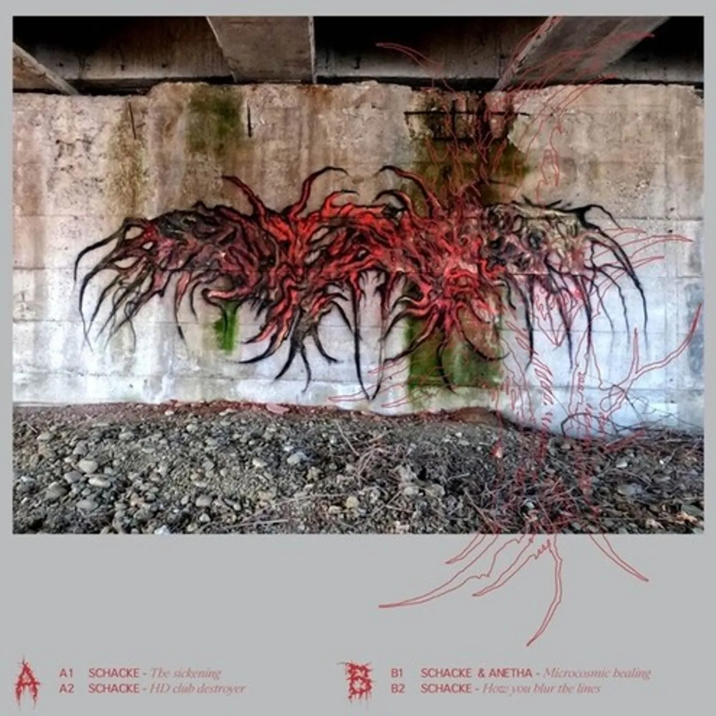 Schacke & Anetha Looks Are Deceiving Vinyl Record