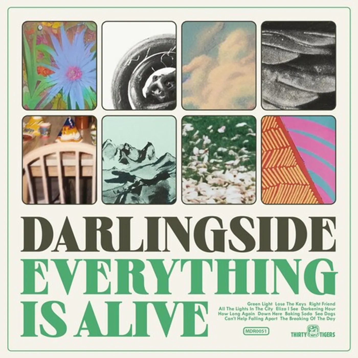 Darlingside EVERYTHING IS ALIVE CD