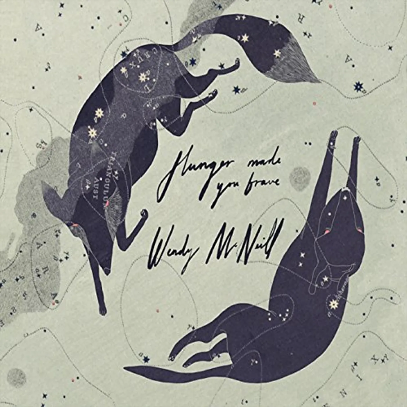 Wendy McNeill HUNGER MADE YOU BRAVE CD