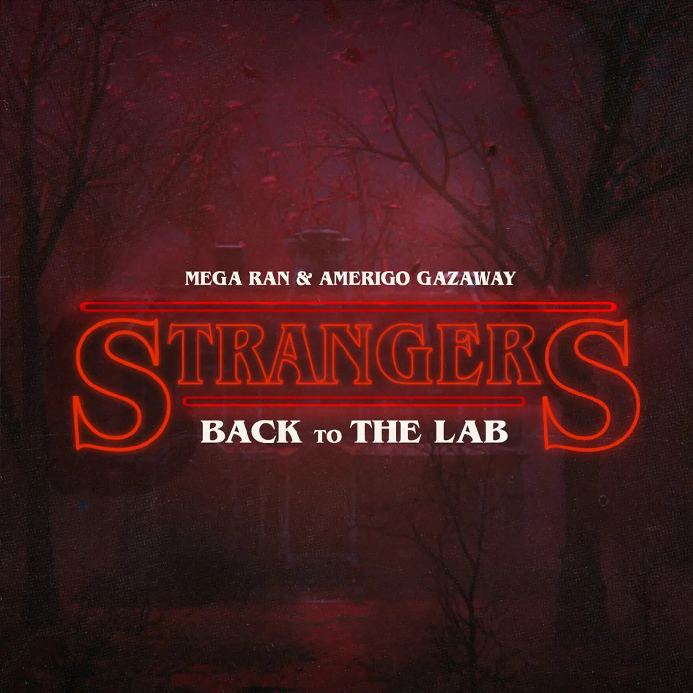 Mega Ran / Amerigo STRANGERS Vinyl Record