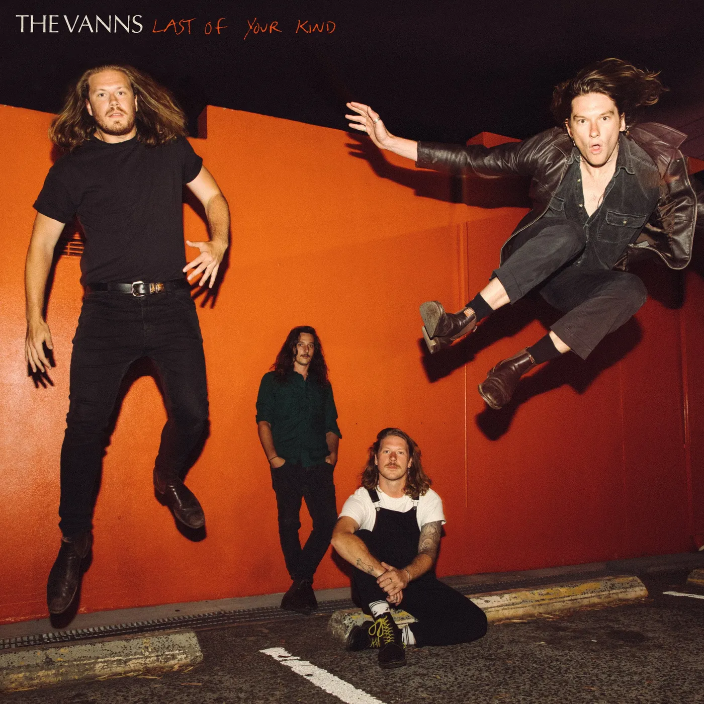 The Vanns LAST OF YOUR KIND Vinyl Record