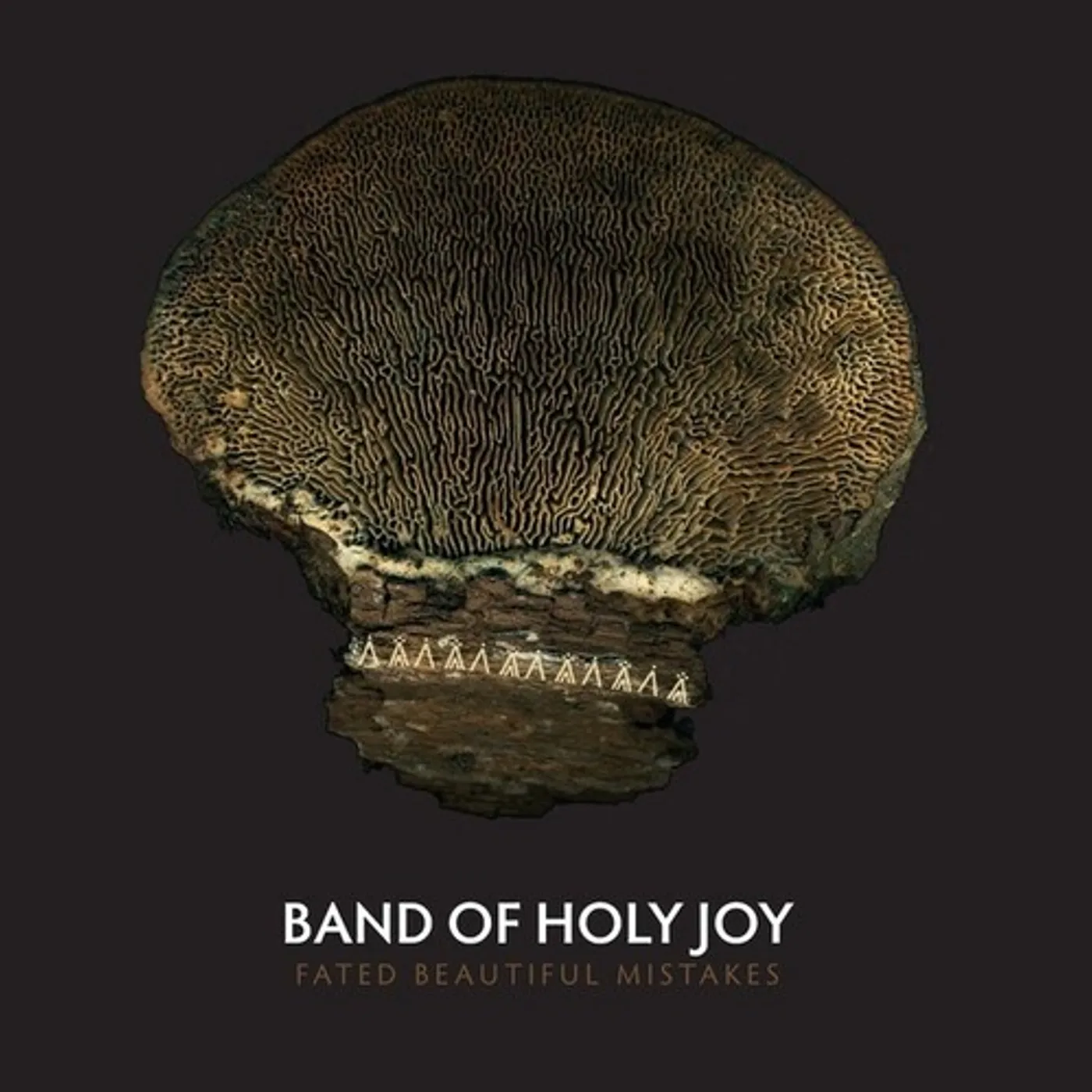 Band of Holy Joy FATED BEAUTIFUL MISTAKES CD