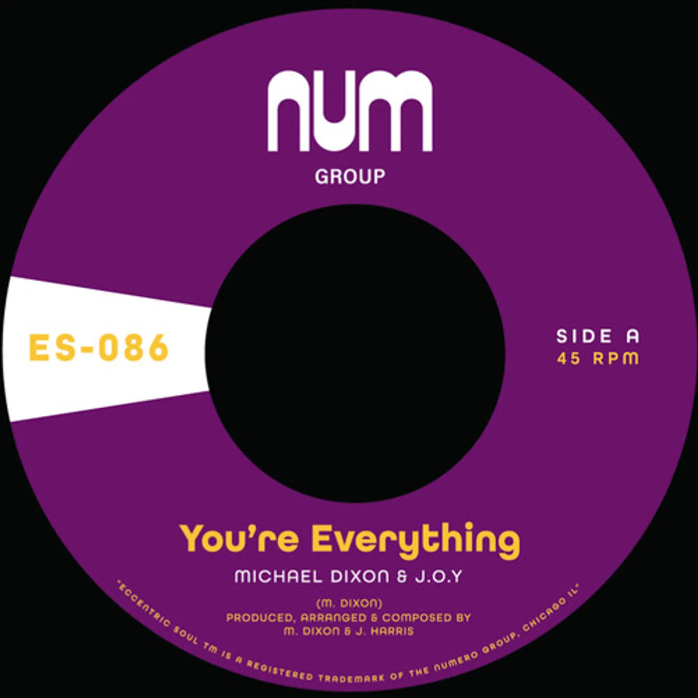 Michael A. Dixon & J.O.Y. YOU'RE EVERYTHING B/W YOU'RE ALL I NEED Vinyl Record