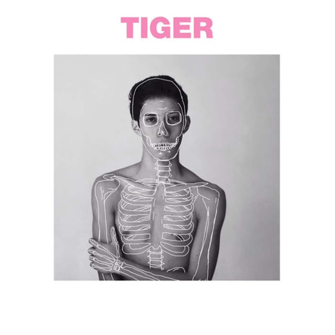 The Sound Of Animals Fighting TIGER AND THE DUKE Vinyl Record