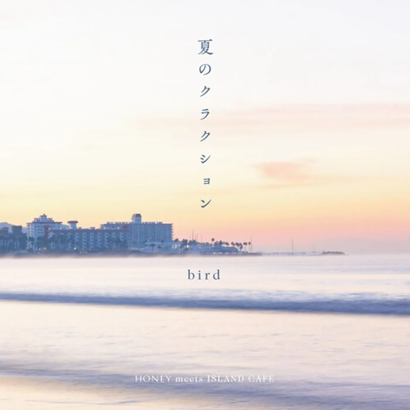 bird NATSU NO KLAXON Vinyl Record