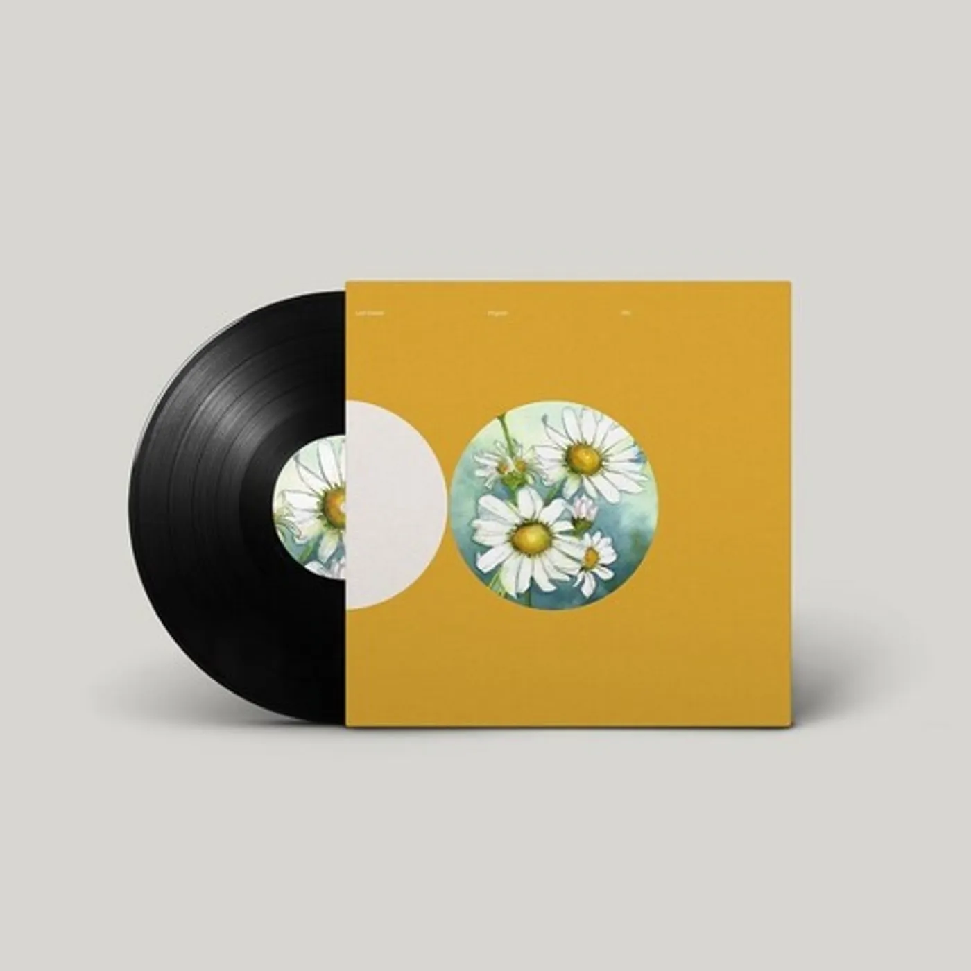 Lost Desert PAGODE Vinyl Record