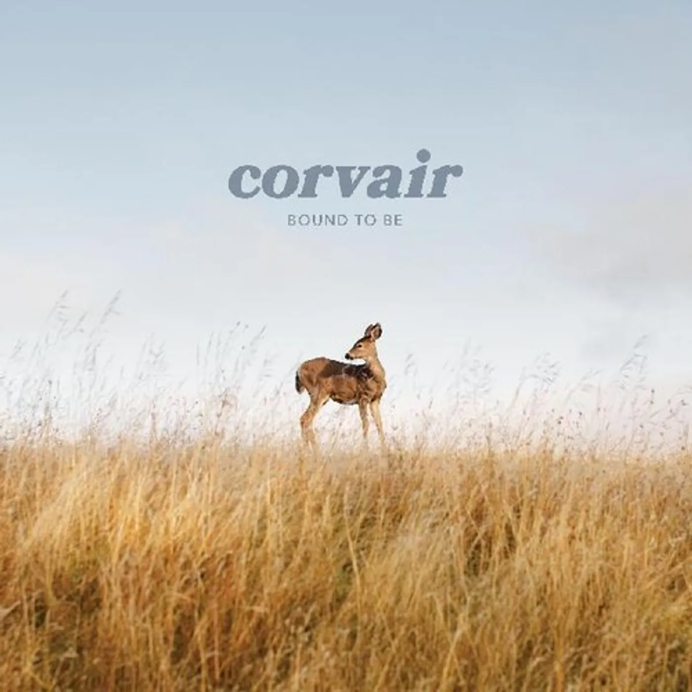 Corvair BOUND TO BE Vinyl Record