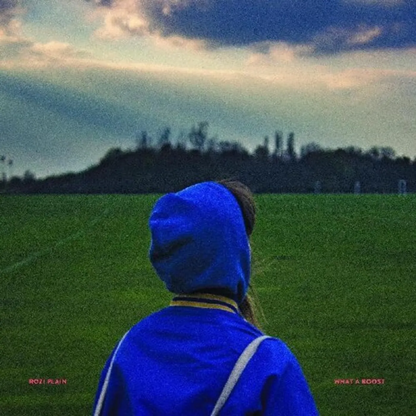 Rozi Plain WHAT A BOOST Vinyl Record