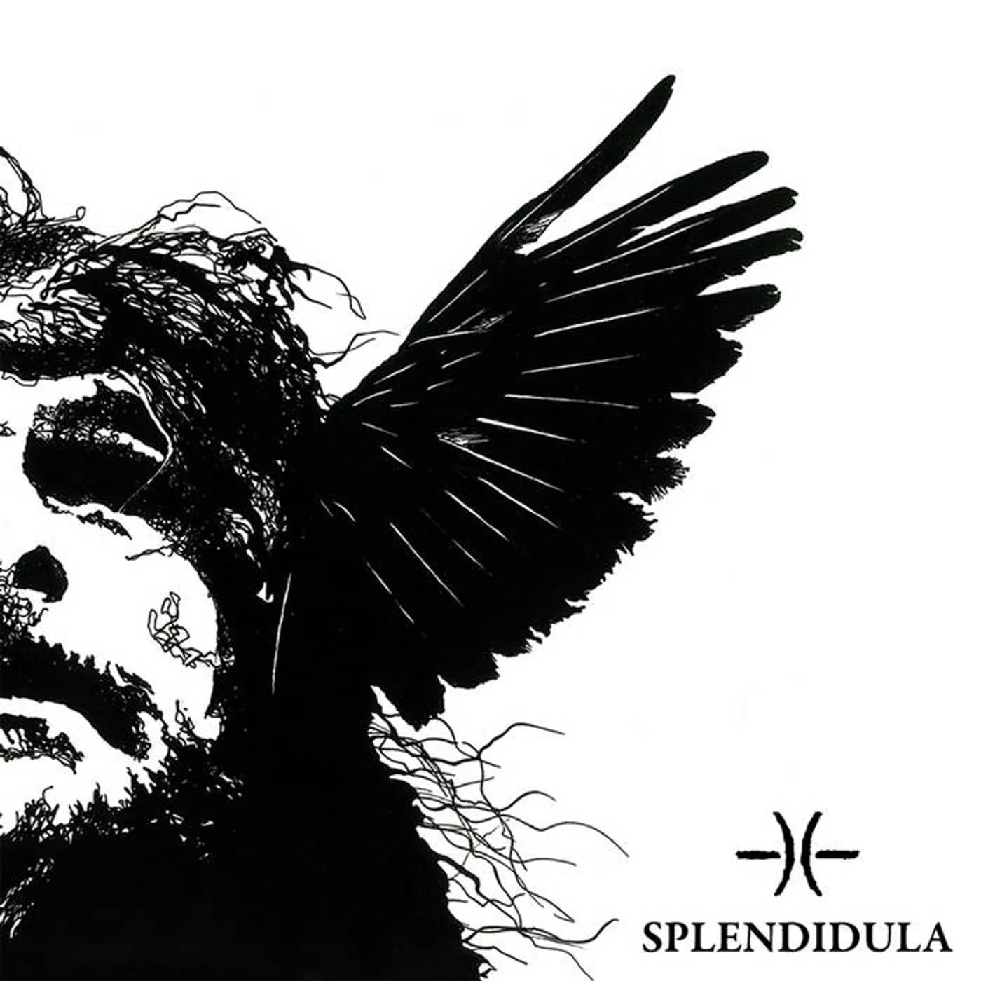 SPLENDIDULA Vinyl Record