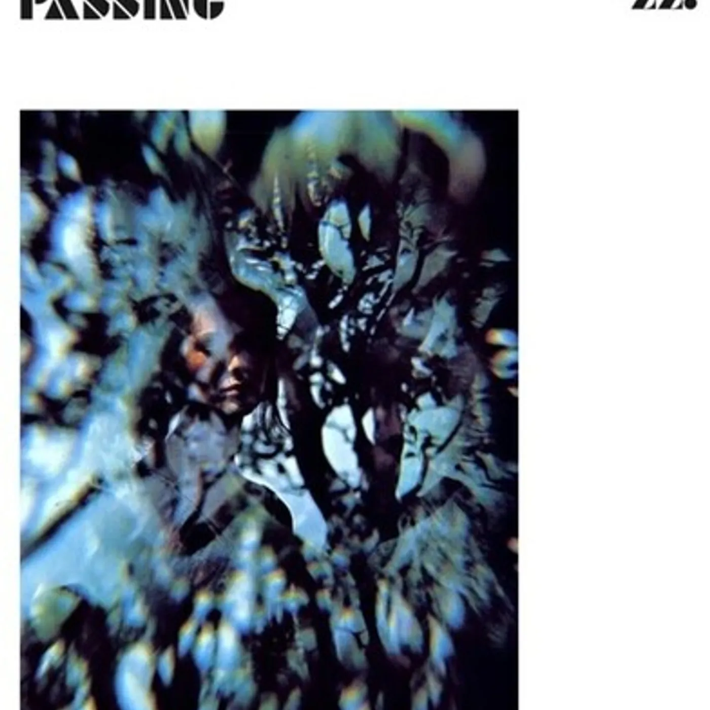 Francesco Sotgiu PASSING Vinyl Record
