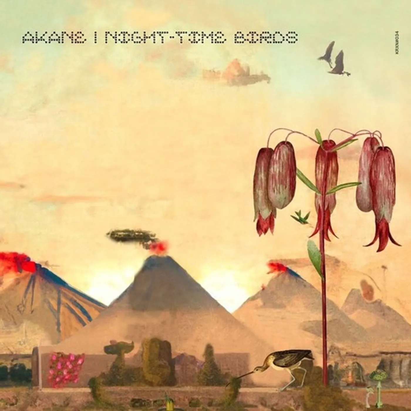 Akane NIGHT-TIME BIRDS Vinyl Record