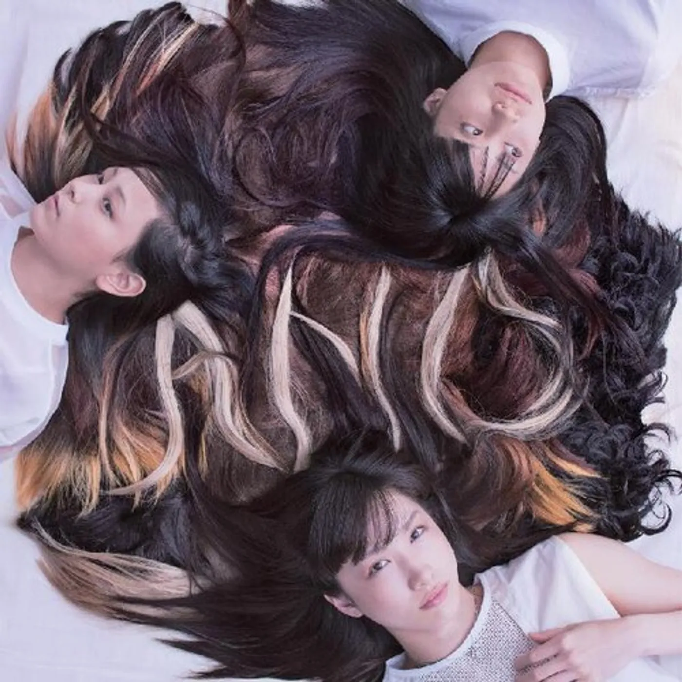 tricot A N D Vinyl Record