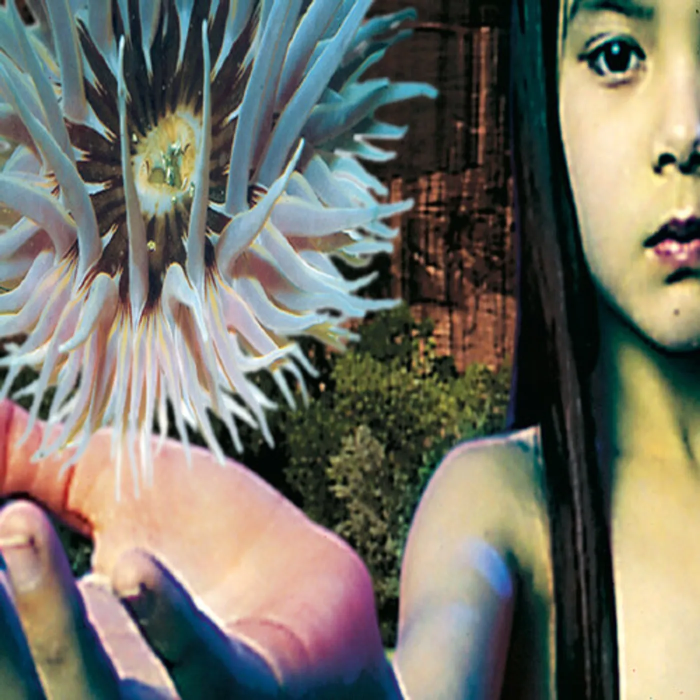 The Future Sound Of London LIFEFORMS CD