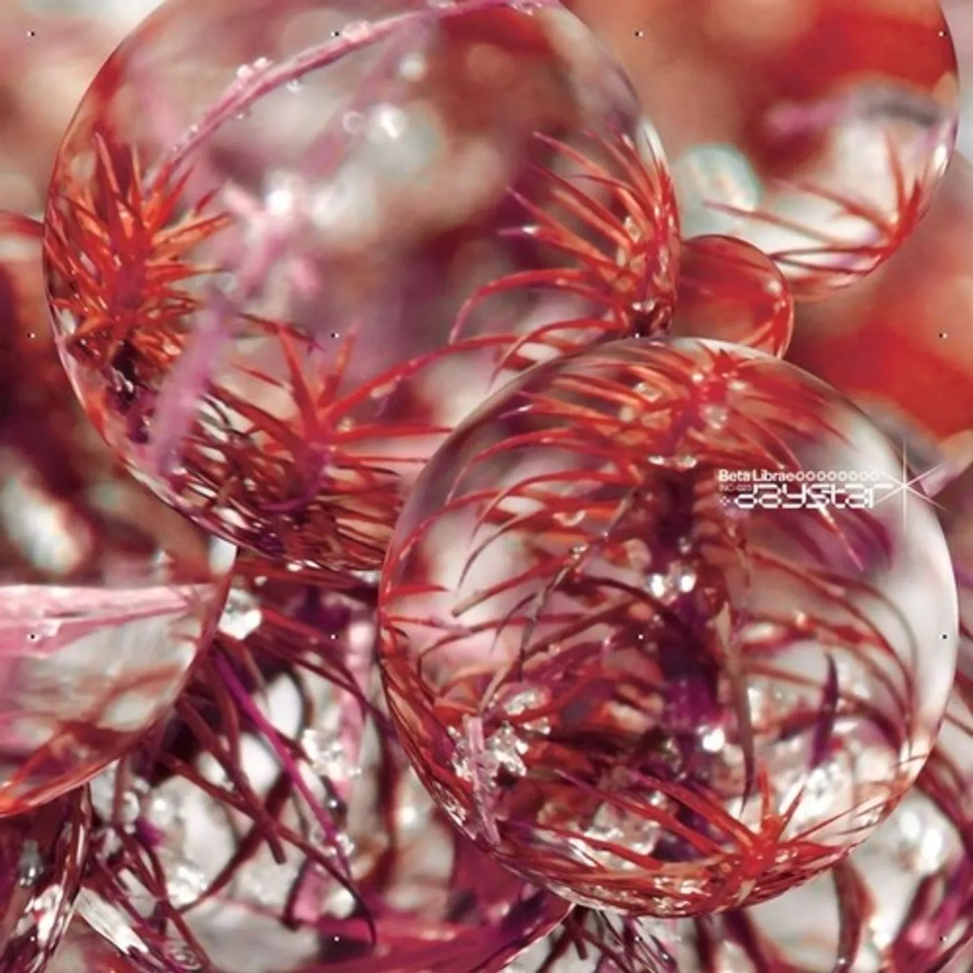 Beta Librae Daystar Vinyl Record