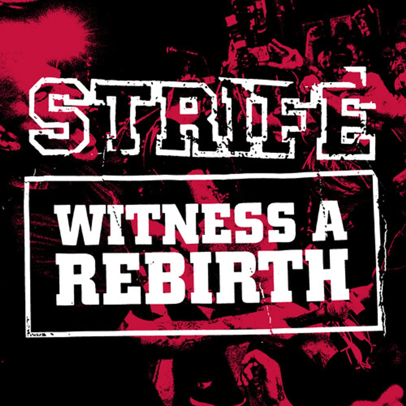 Strife Witness a Rebirth Vinyl Record