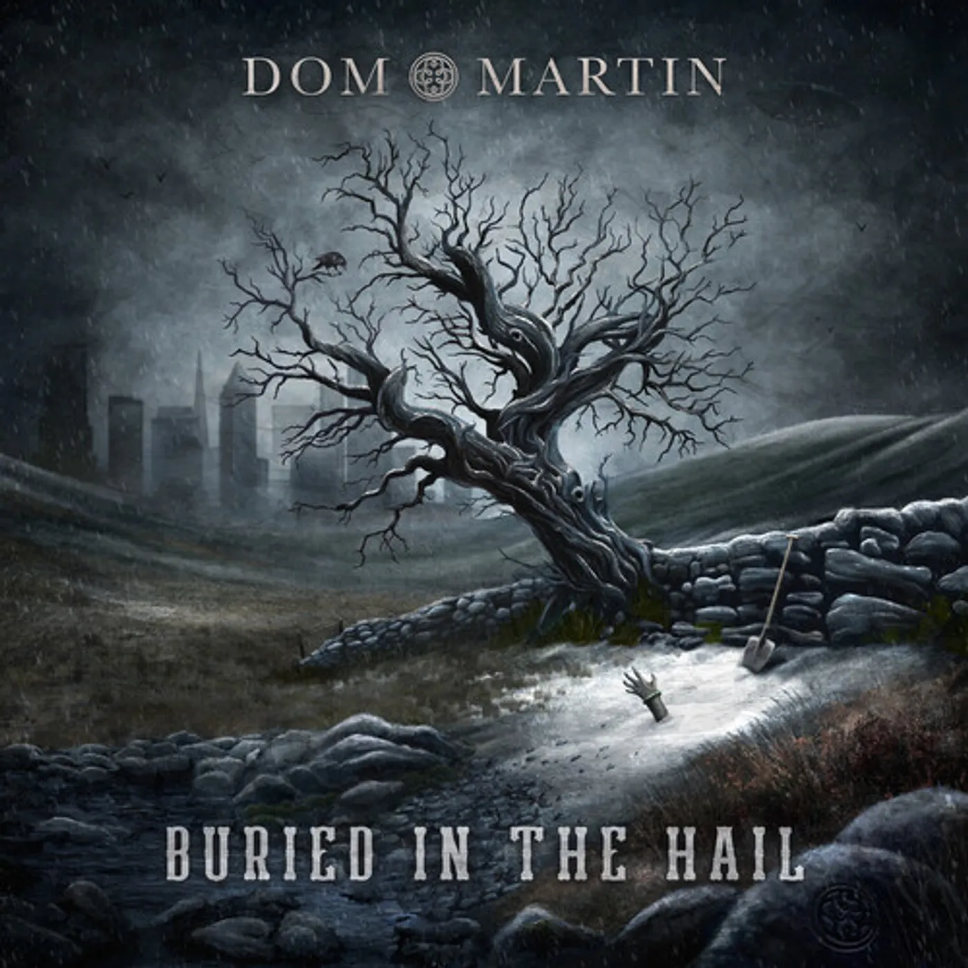 Dom Martin BURIED IN THE HAIL Vinyl Record