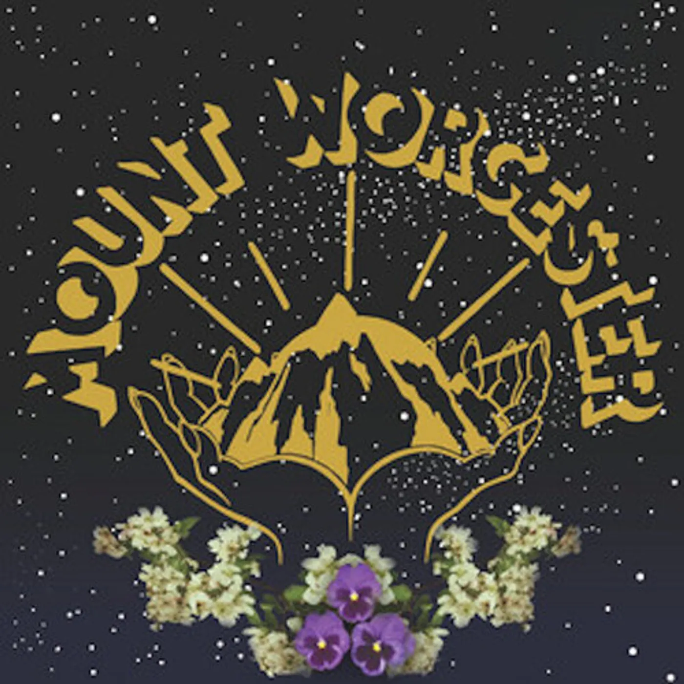 MOUNT WORCESTER - ORANGE Vinyl Record