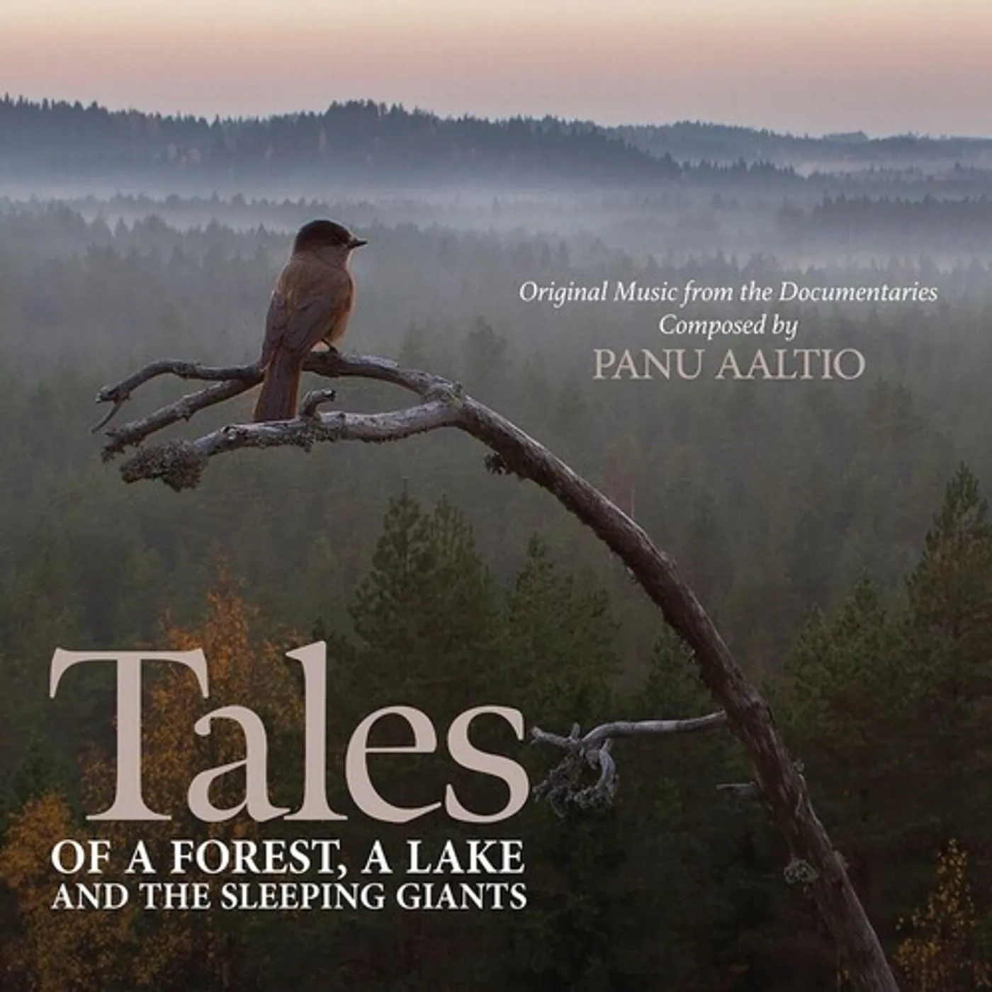 Panu Aaltio TALES OF A FOREST A LAKE & THE SLEEPING GIANTS CD