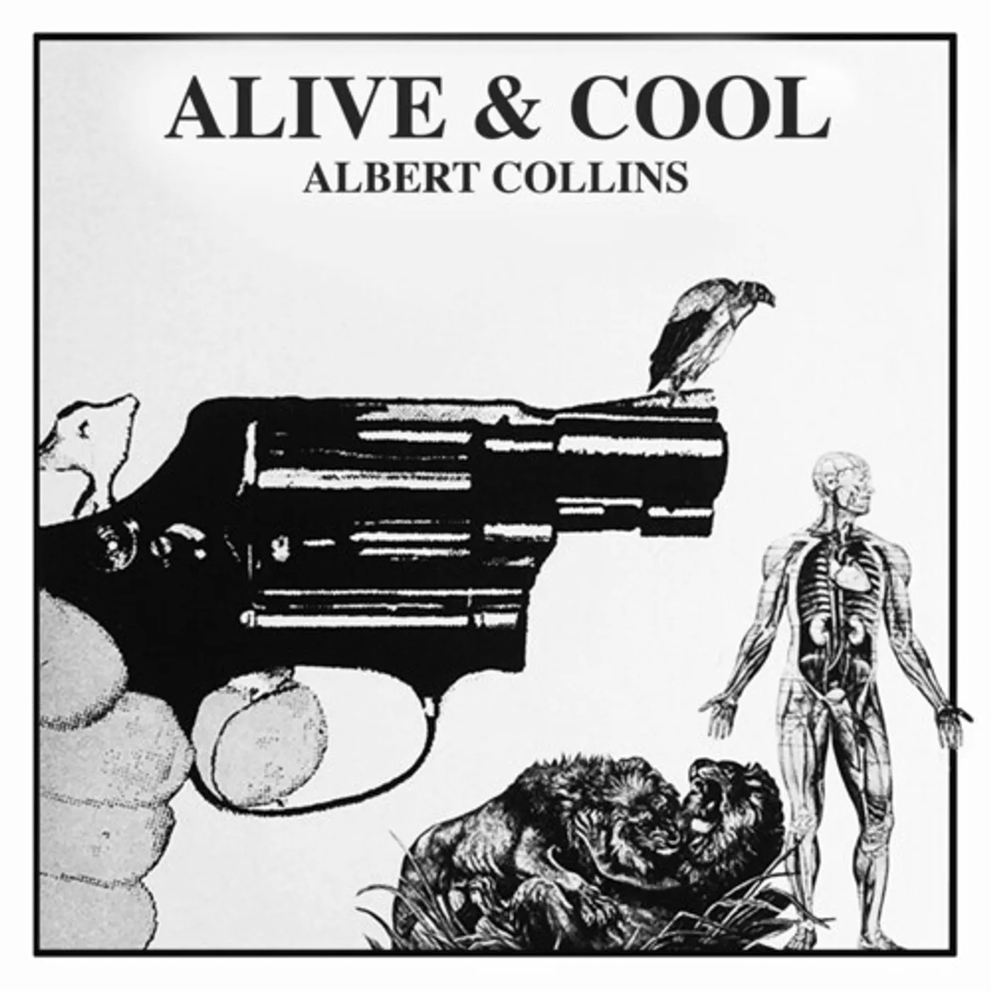 Albert Collins ALIVE & COOL CD