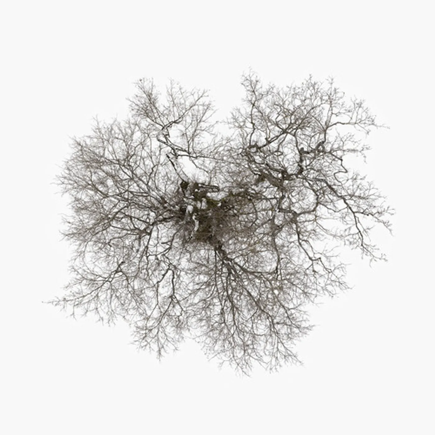 John Metcalfe TREE CD