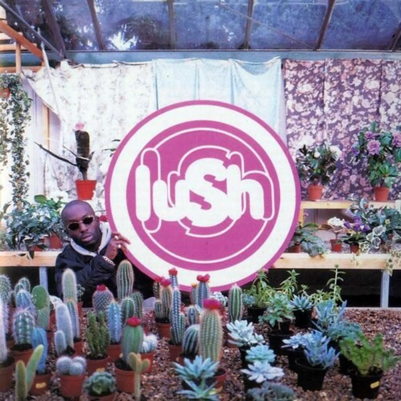 Lush LOVELIFE Vinyl Record
