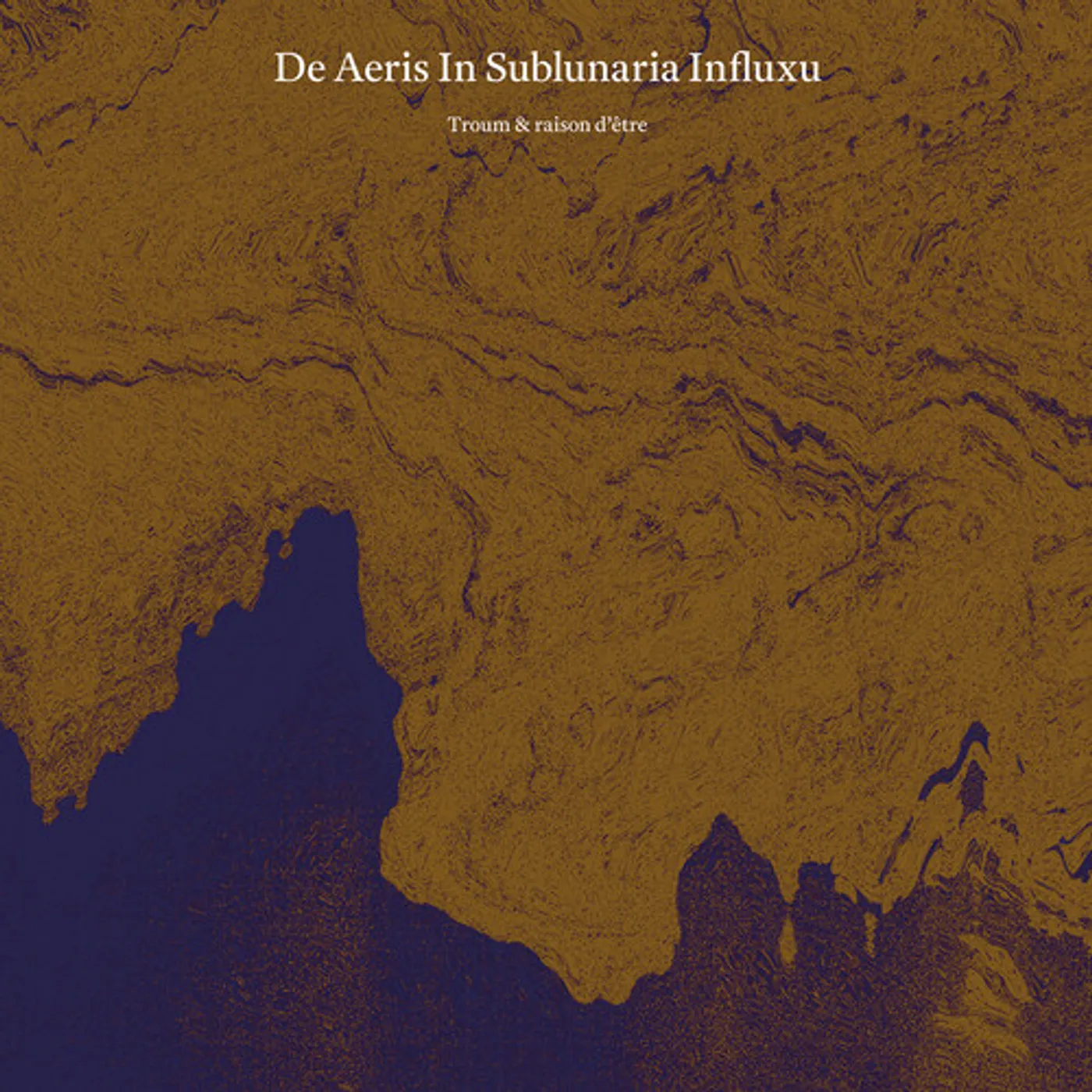 Troum & Raison Detre DE AERIS IN SUBLUNARIA INFLUXU Vinyl Record