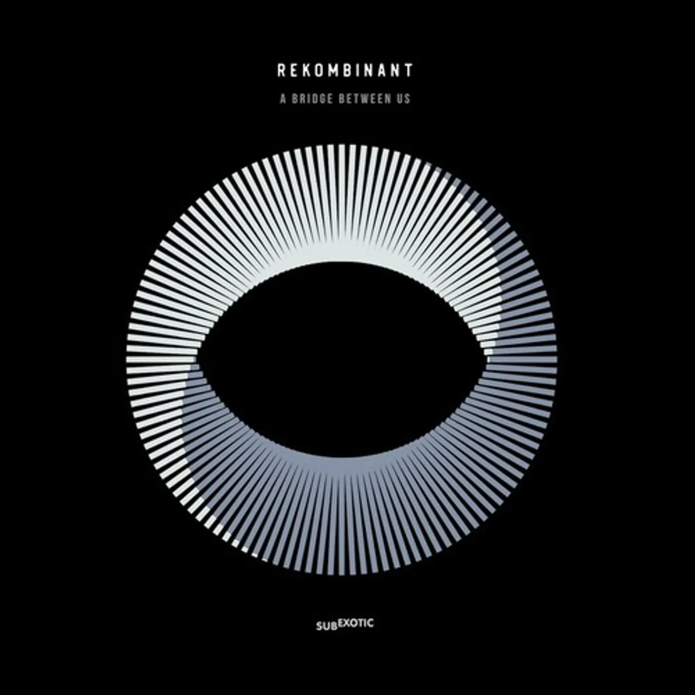 Rekombinant BRIDGE BETWEEN US Vinyl Record