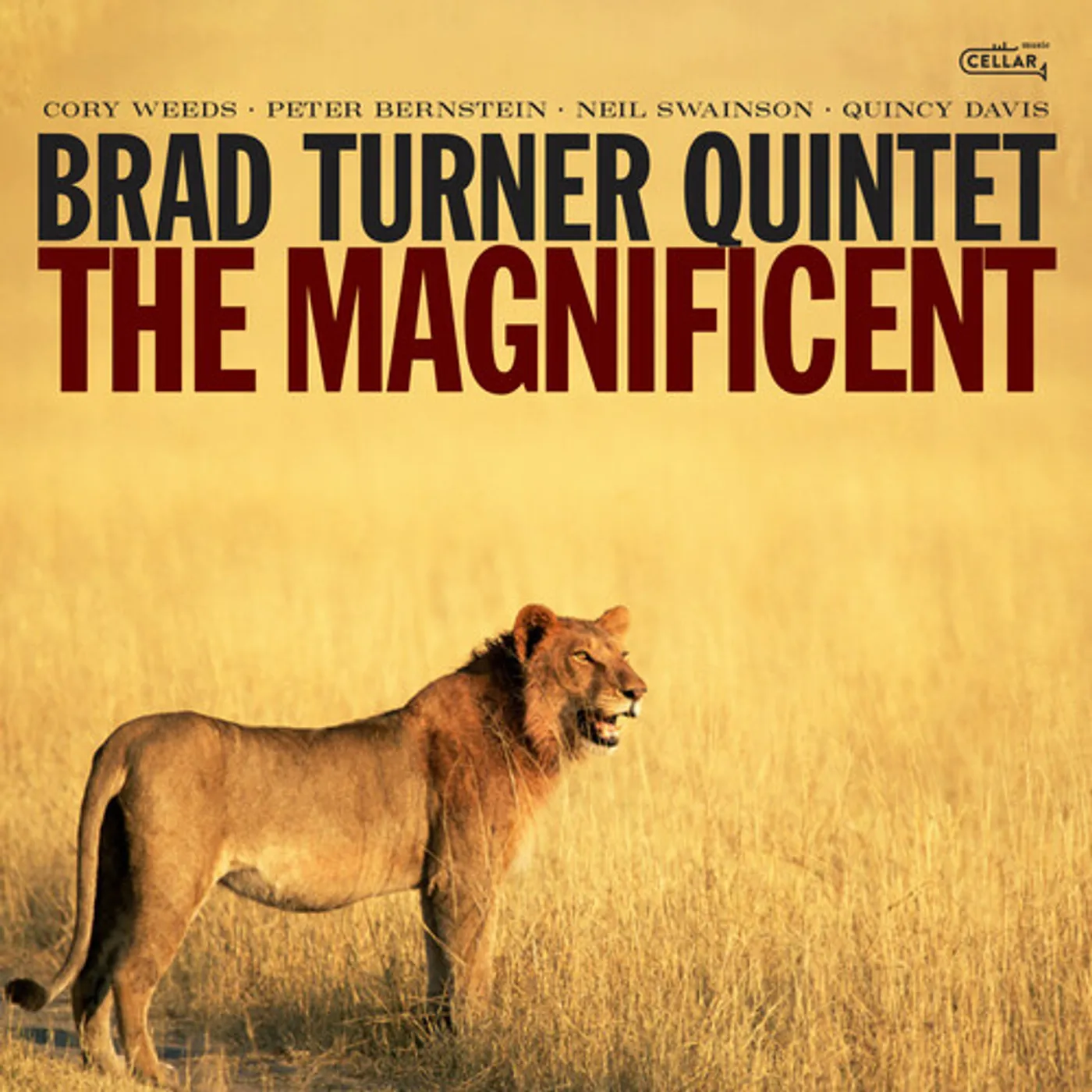 Brad Turner MAGNIFICENT CD