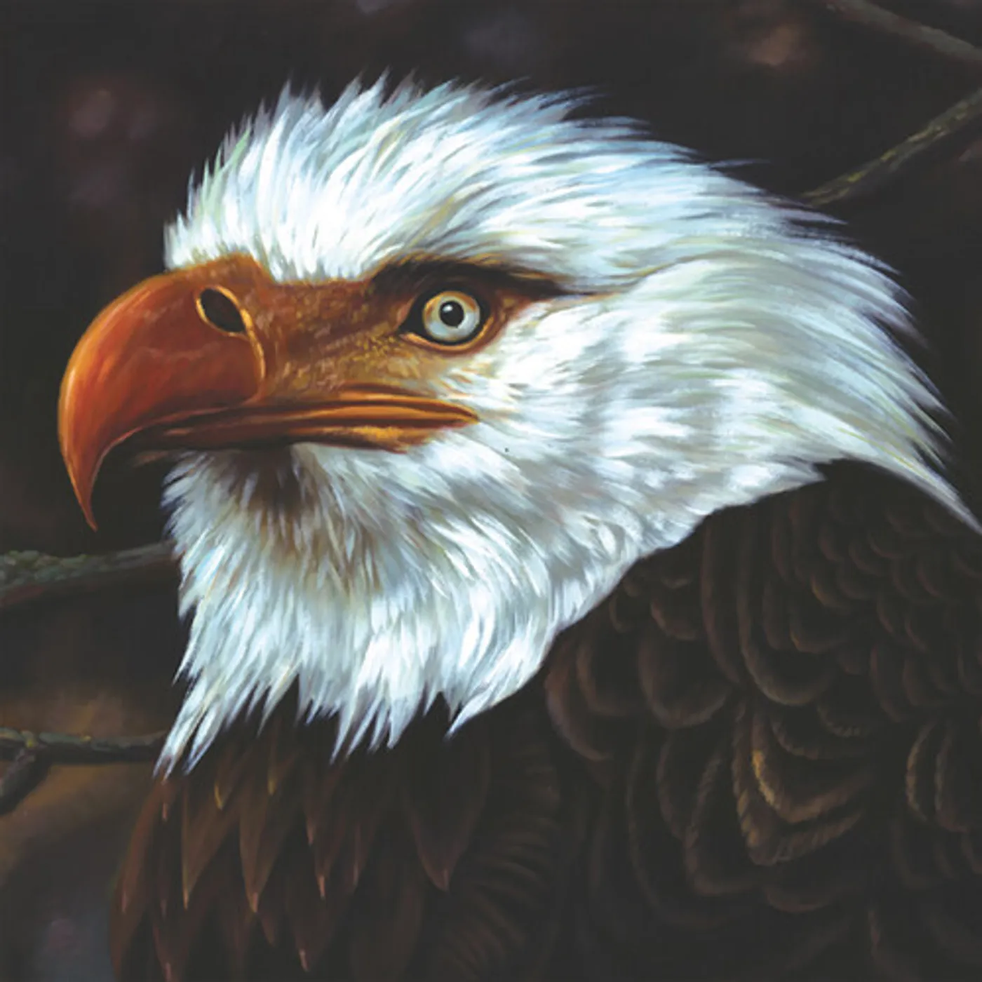 Mogwai Hawk Is Howling (White) Vinyl Record