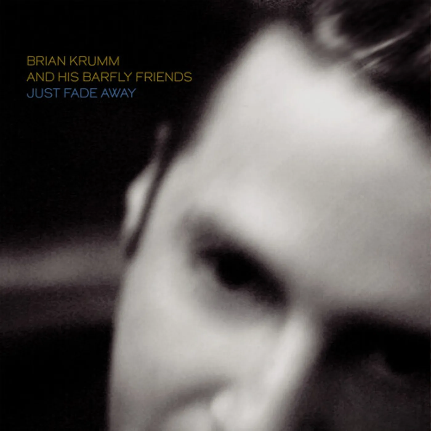 Brian Krumm and his Barfly Friends JUST FADE AWAY Vinyl Record