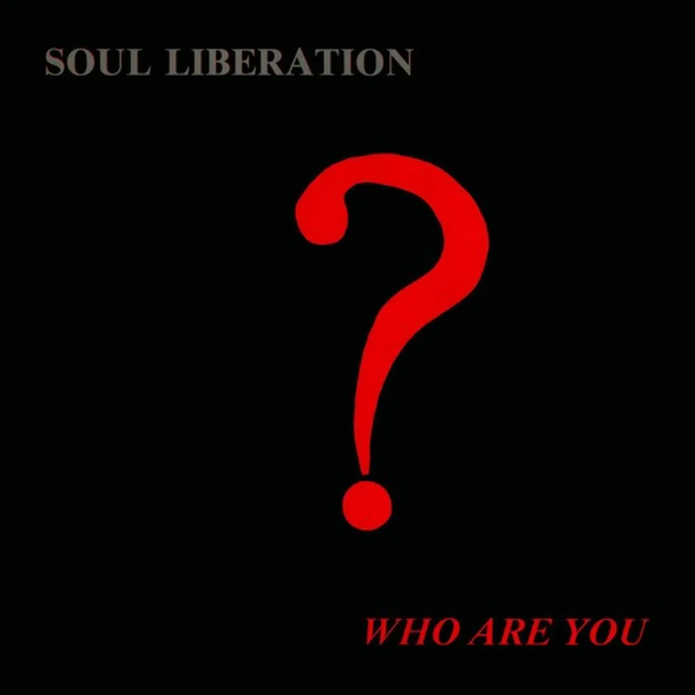Soul Liberation WHO ARE YOU? Vinyl Record