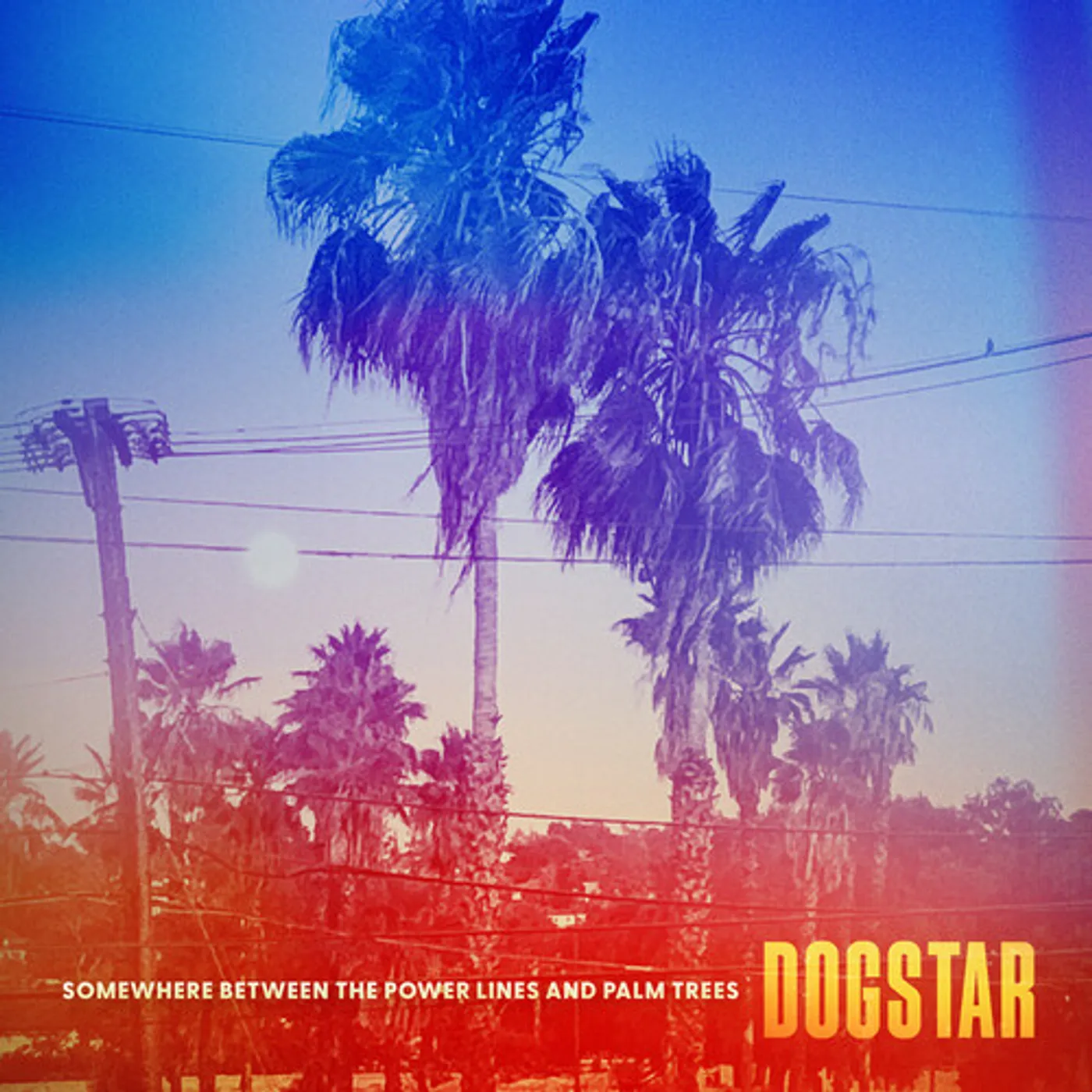 DOGSTAR SOMEWHERE BETWEEN THE POWER LINES AND PALM TREES Vinyl Record