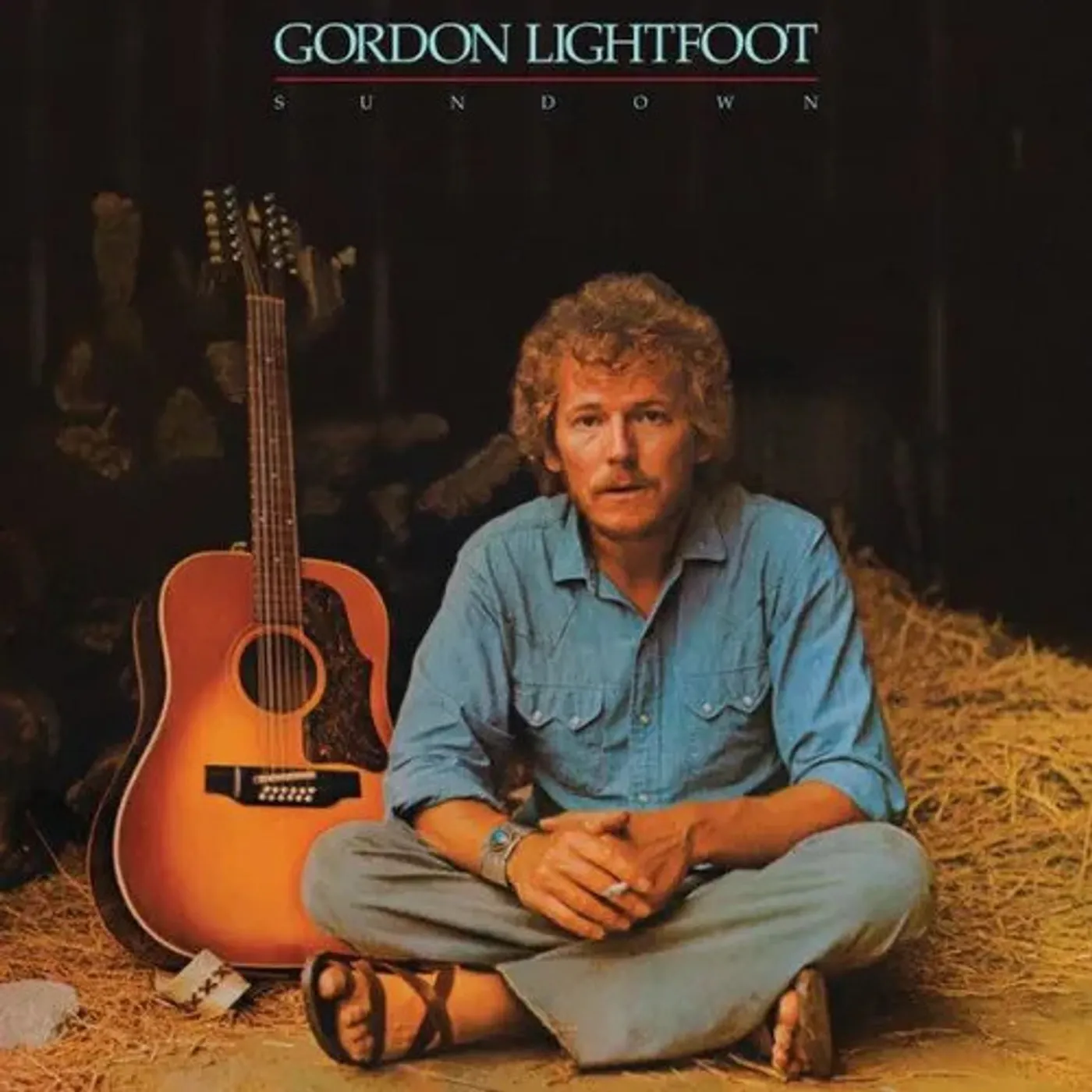 Gordon Lightfoot Sundown (Turquoise) Vinyl Record