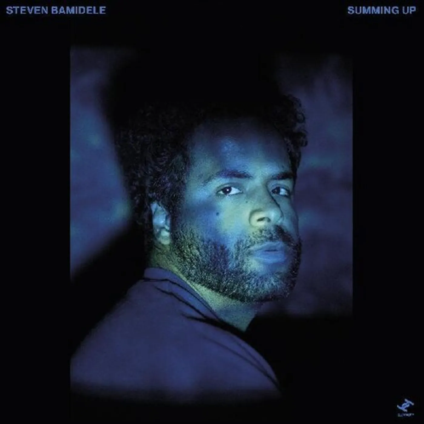 Steven Bamidele SUMMING UP Vinyl Record