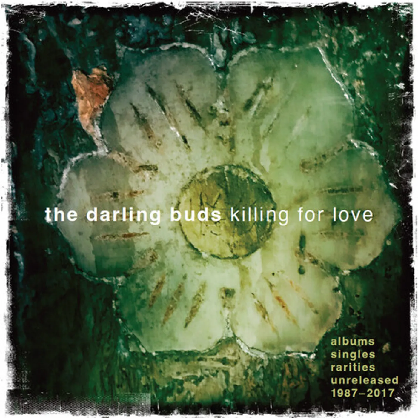 The Darling Buds KILLING FOR LOVE: ALBUMS SINGLES RARITIES CD