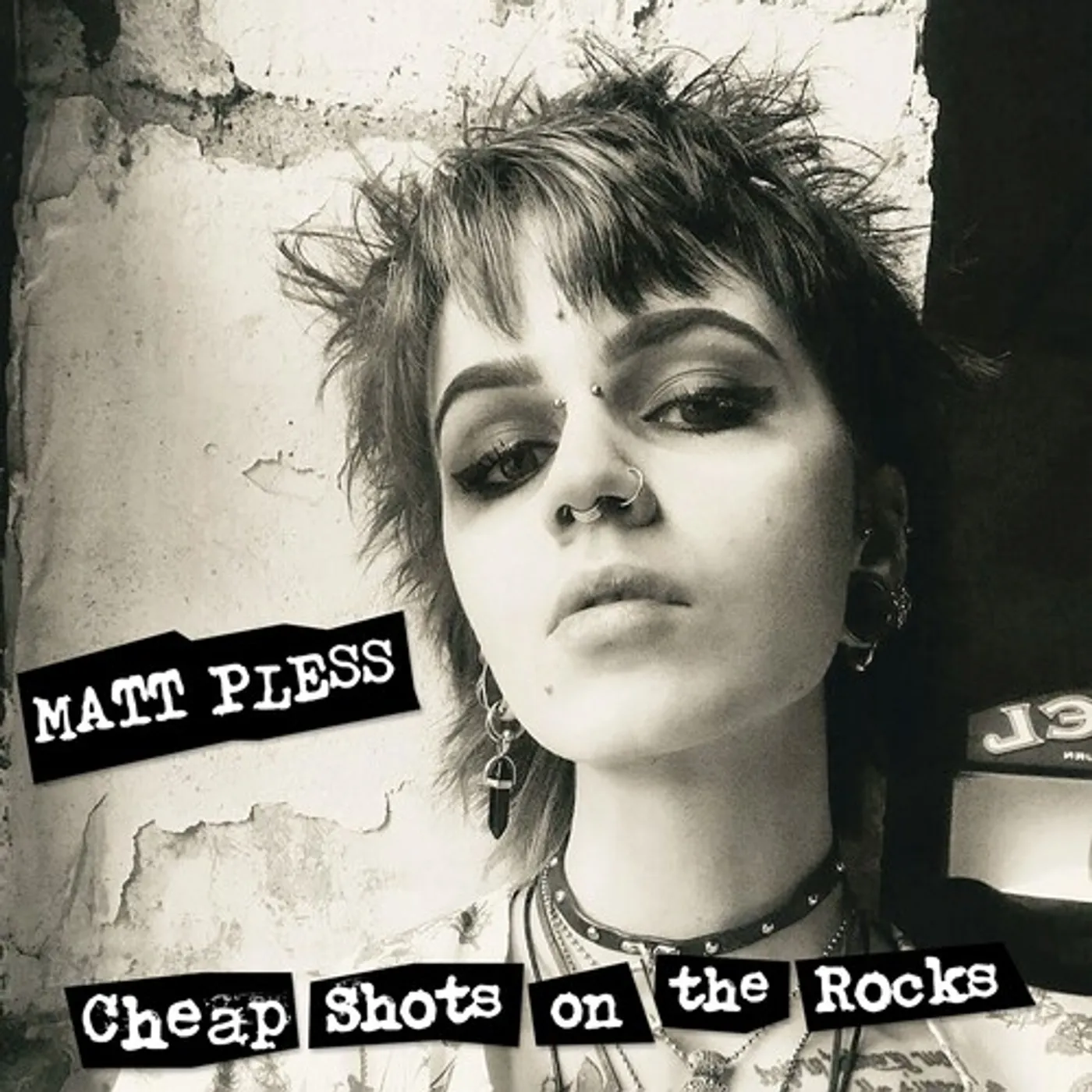 Matt Pless CHEAP SHOTS ON THE ROCKS Vinyl Record