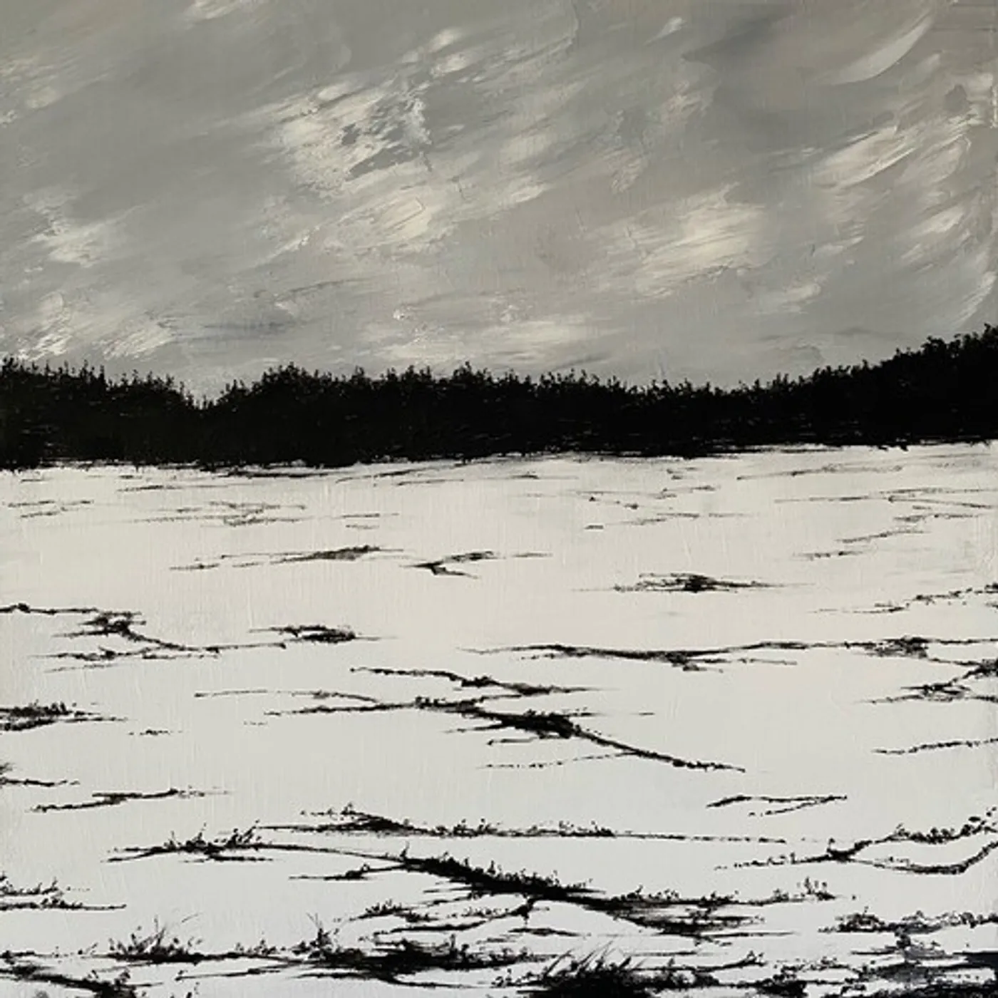 Tjaktjadálvve ECHOES ON A WINDSWEPT PLAIN CD