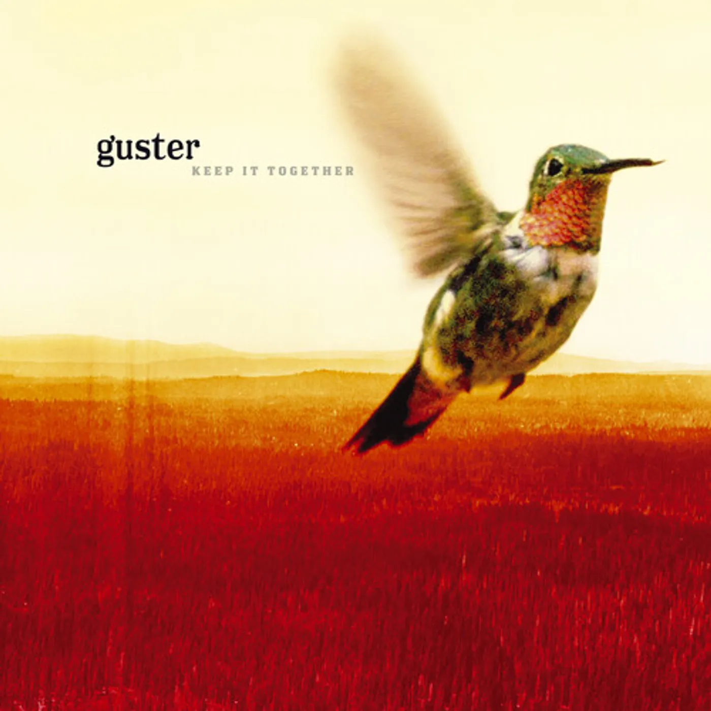 Guster KEEP IT TOGETHER - KELLY GREEN Vinyl Record